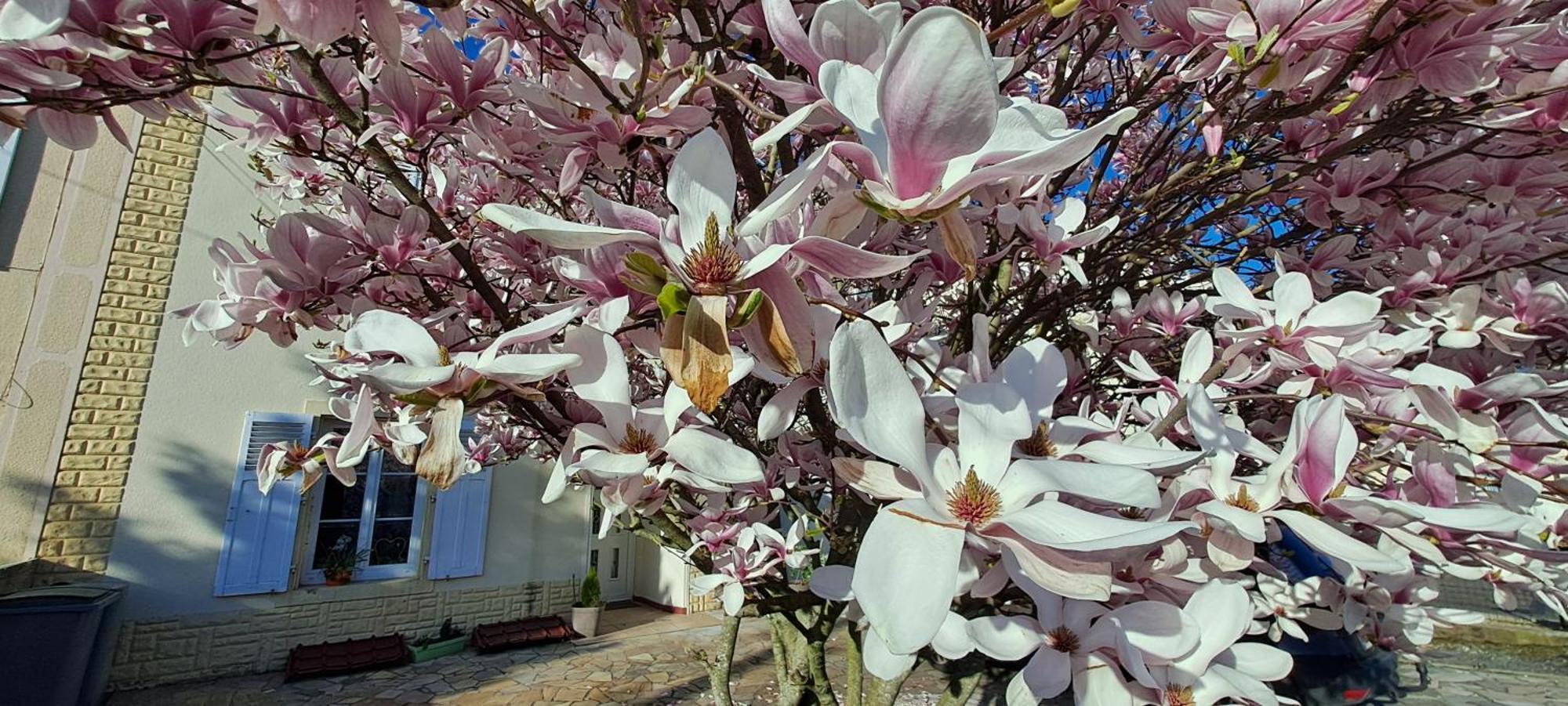 L'Etoile Du Matin Bed & Breakfast Terville Bagian luar foto